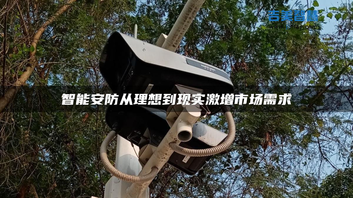 智能安防从理想到现实激增市场需求